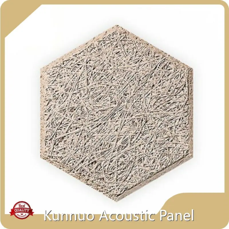 High-quality Acoustic Panel Manufacturer Company for Music Concert 1