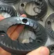 Coffee Machine Accessories for Workplace Conical Burrs for Coffee Makersupply 4