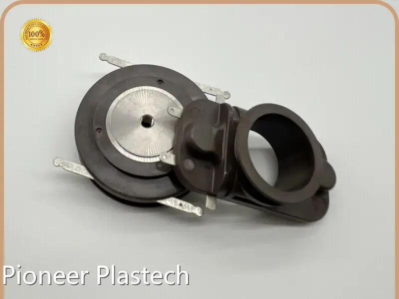 Molded Automotive Parts by Pioneer Plastech-1 1