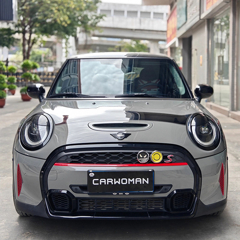 Racing Style New ABS Material Decorations Bumper Duct Fins Side Mesh For BMW Mini Cooper 2LCI Cooper S F55 F56 F57 1