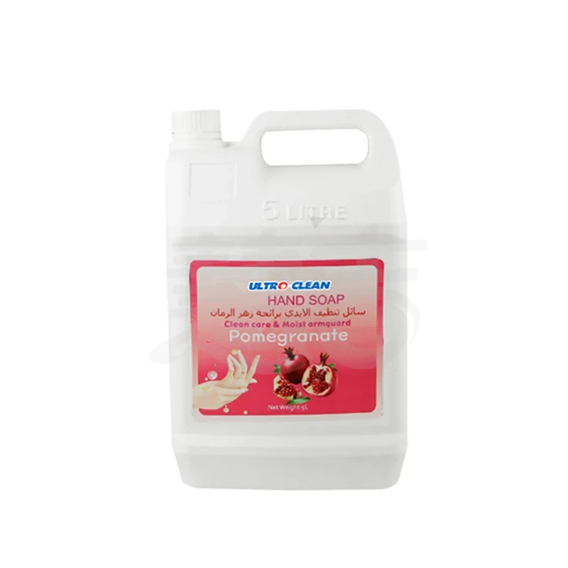 5kg Natural Aloe Liquid Hand Soap In Bulk 1