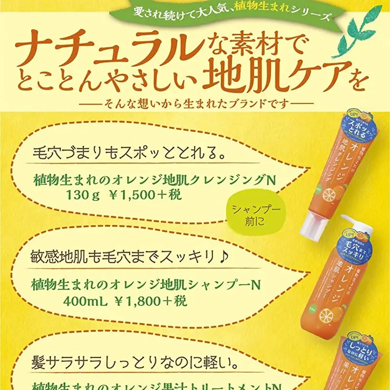 Sulfate Free Hair Shampoo by HuiJi 5