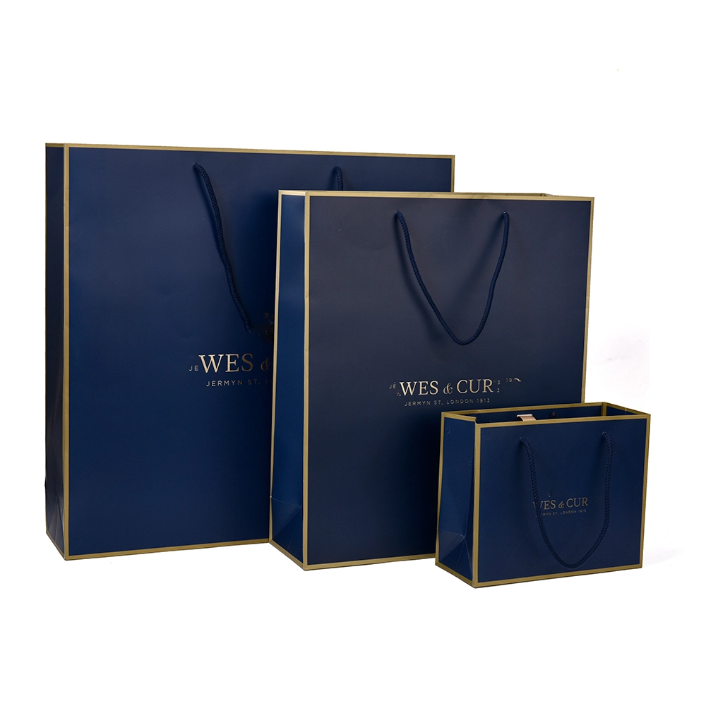 Customized Premium Coated Paper Packaging Bag with Handle 1