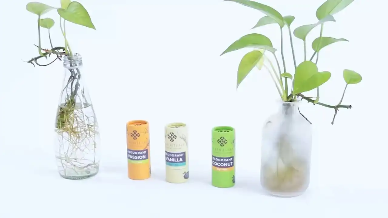 Benutzerdefinierte umweltfreundliche Deodorante Papierrohre Push Up kleiner Lippenbalsam Deodorant Hautpflegeverpackungsrohr 1