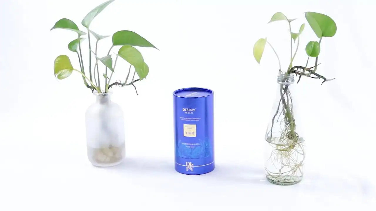 Eco-friendly Black Rigid Cardboard Cosmetic Paper Tube Recyclable Cylinder Glossy Printed Toothpaste Lotion Packaging Tubes 1