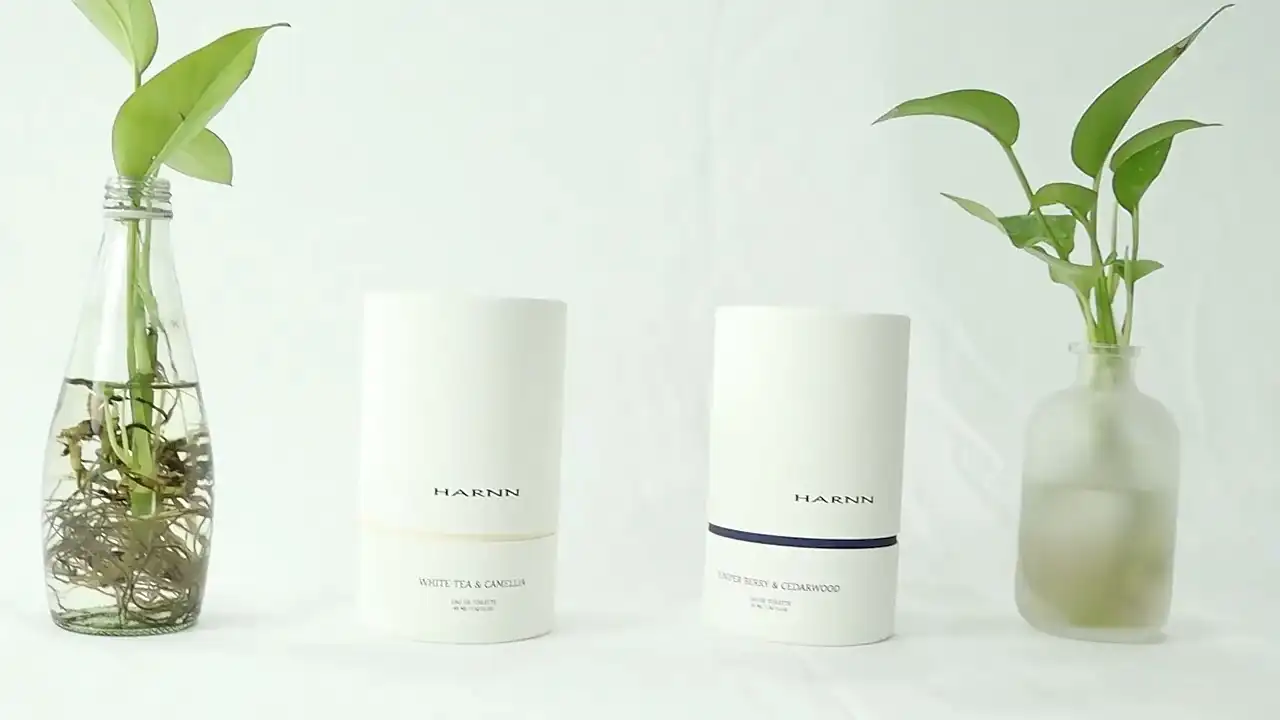 Индивидуальная экологичность Эссенция Ампула Упаковка Туба Коробка Косметическая Сыворотка Для Лица Цилиндр Бумажный Туба для Духов и Лосьона 1