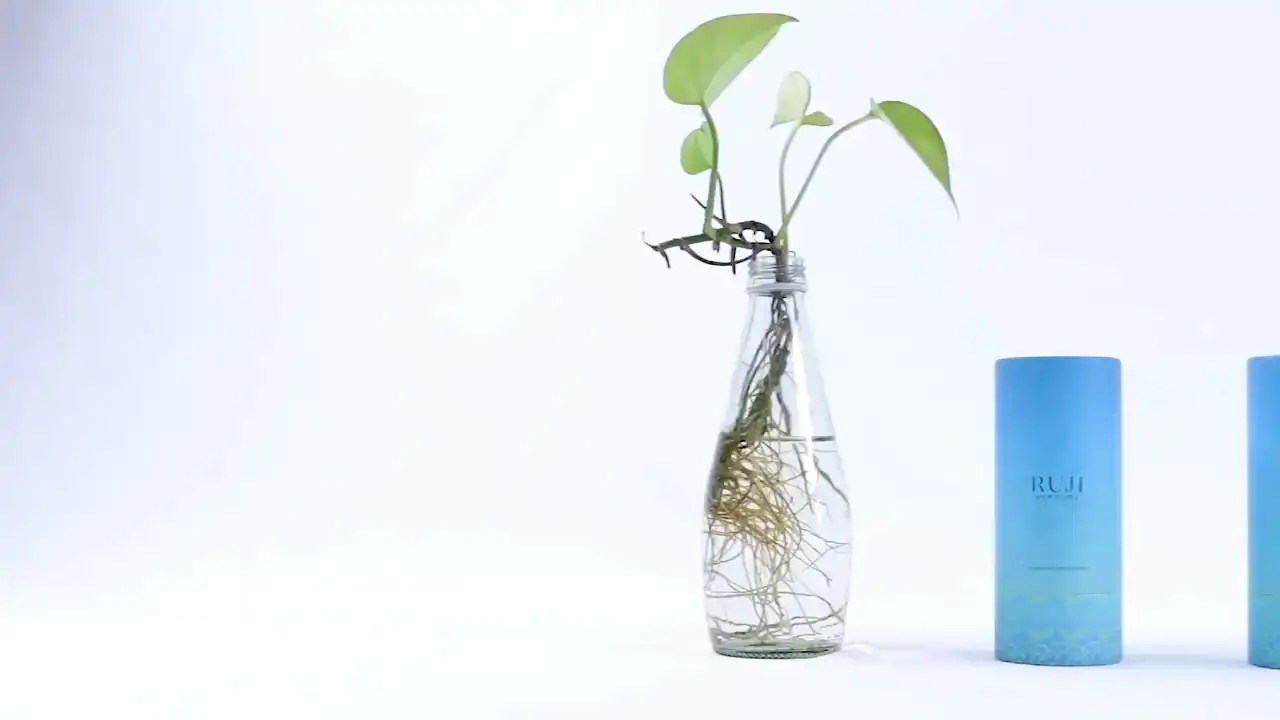 طقم زراعة الأعشاب مع البذور