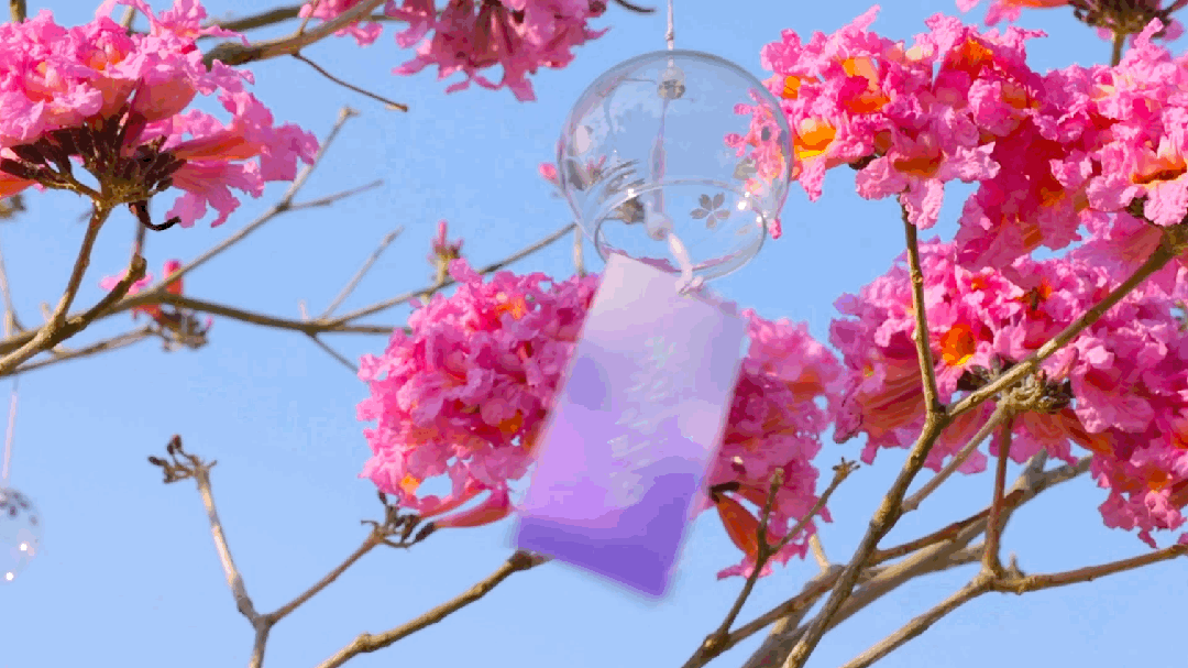 Welcome to Hongyuan Flower Sea of Hongye Group! 7