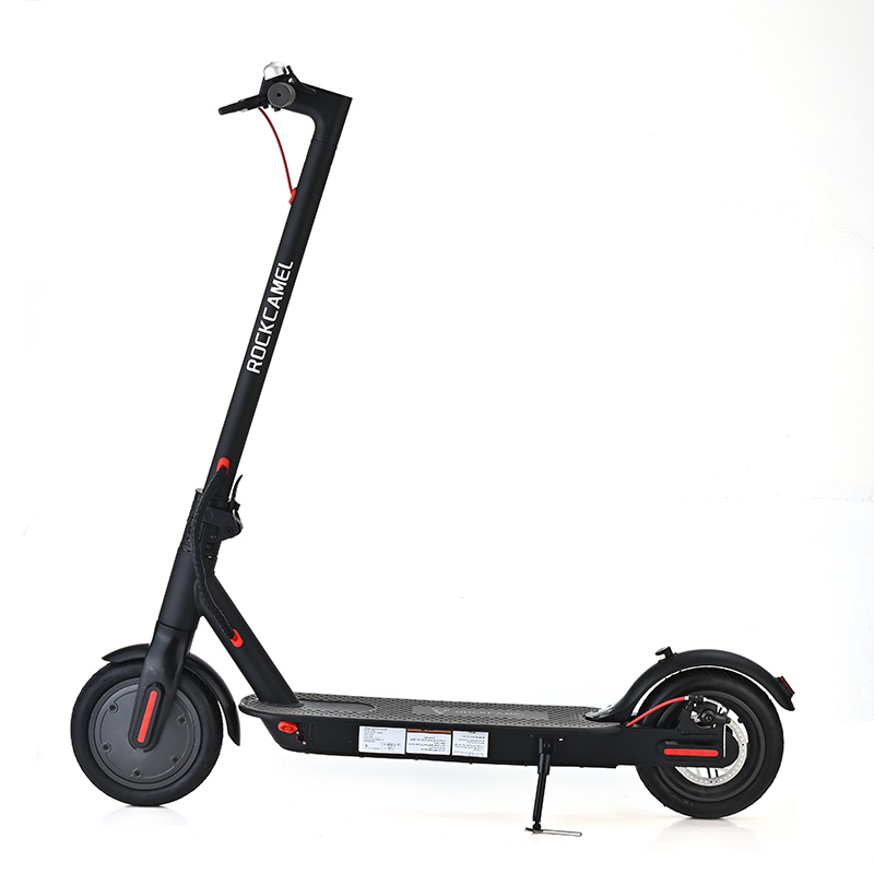Electric Scooter ES02 1