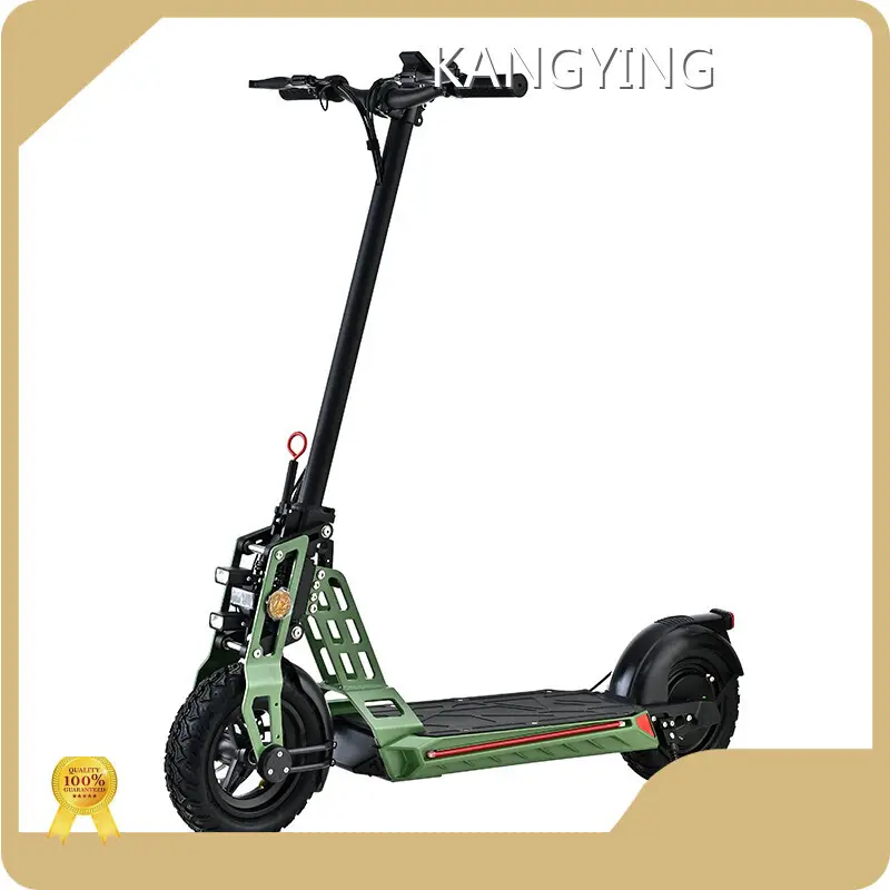 Electric Scooter for Adults - for Sport - Rockbaby 1