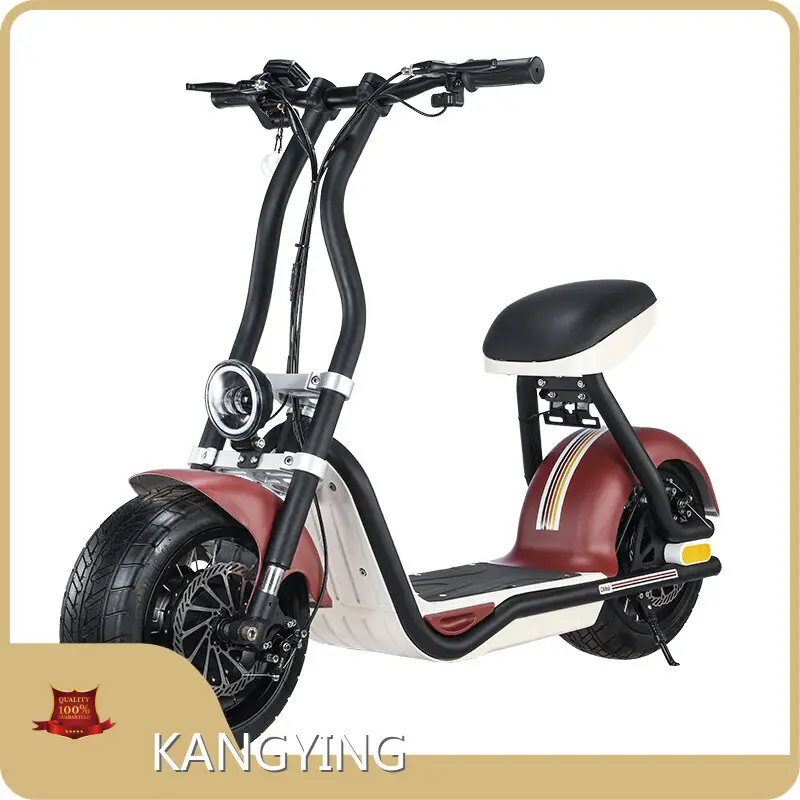 Top Electric Scooter Wholesale Supplier Company for Work 1