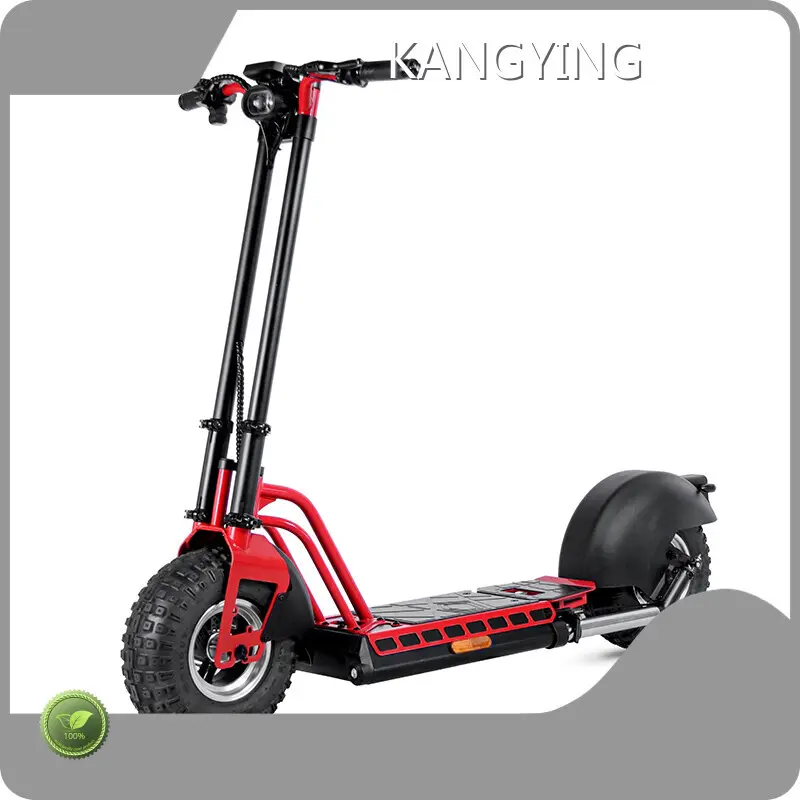 Rockbaby Best Electric Scooter for Adults Best Electric Scooter for Adultssuppliers 1