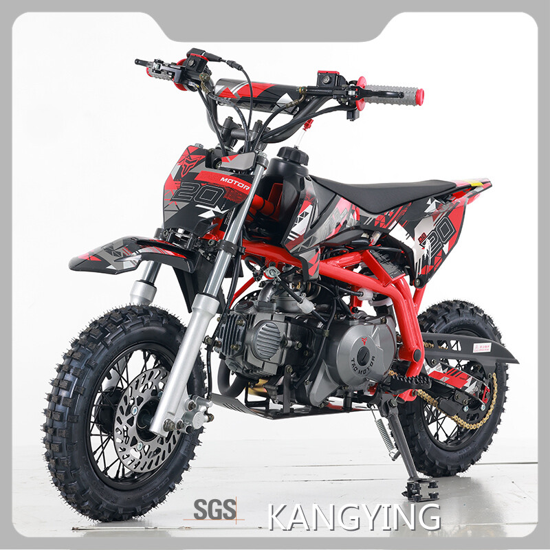 For Sport Electric Bike Supplier by Rockbaby 1