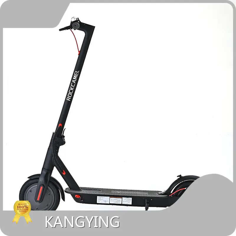 Rockbaby Custom Electric Scooter Uppliers 1