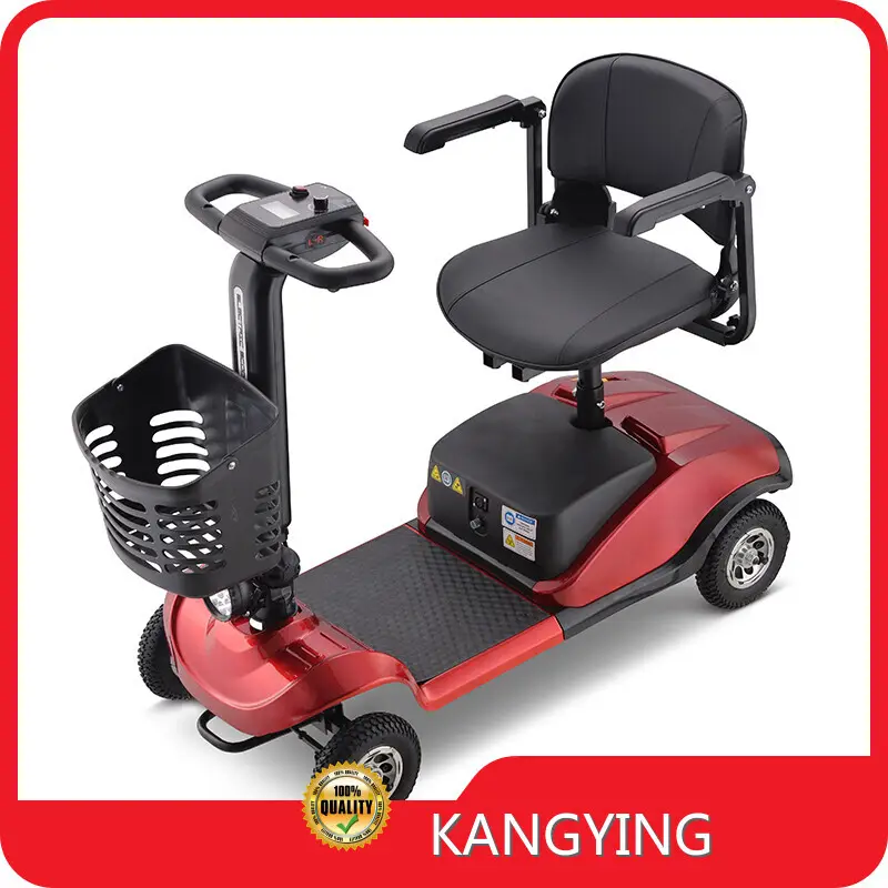 Custom Best Electric Scooter for Work 1