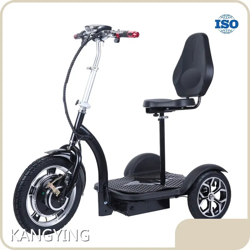 New Best Electric Scooter Manufacturer Company for Commute 1