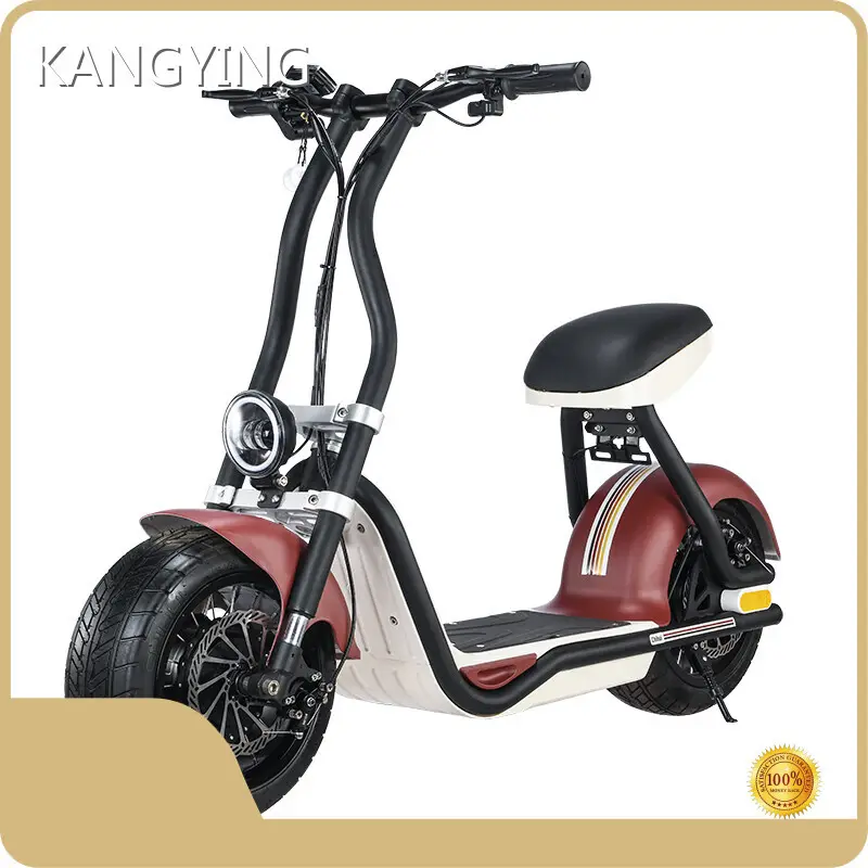 Custom Scooter Supplier for Work 1