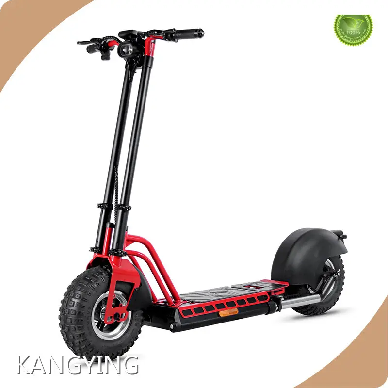 Foldable Electric Scooter for Adults Supply for Work 1