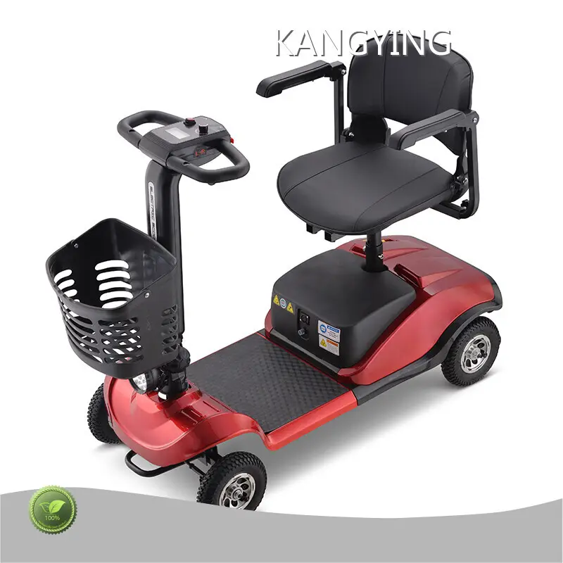 Fast Electric Scooter for Adults - for Work - Rockbaby 1