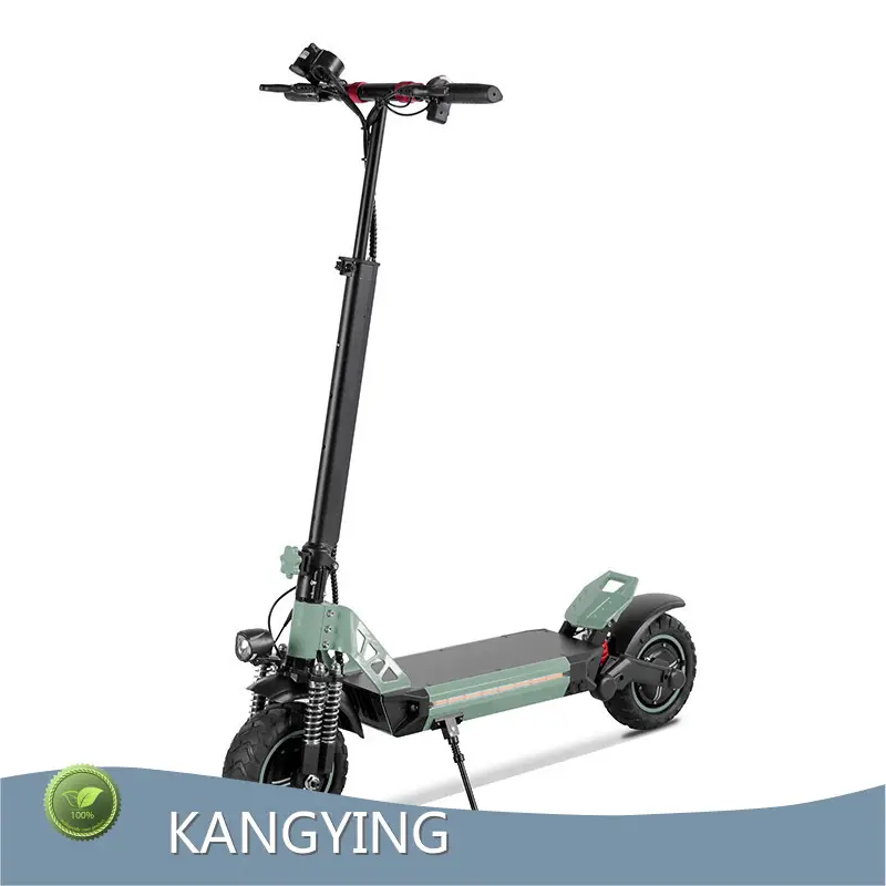 Best Electric Scooter for Adults for Commute Company 1