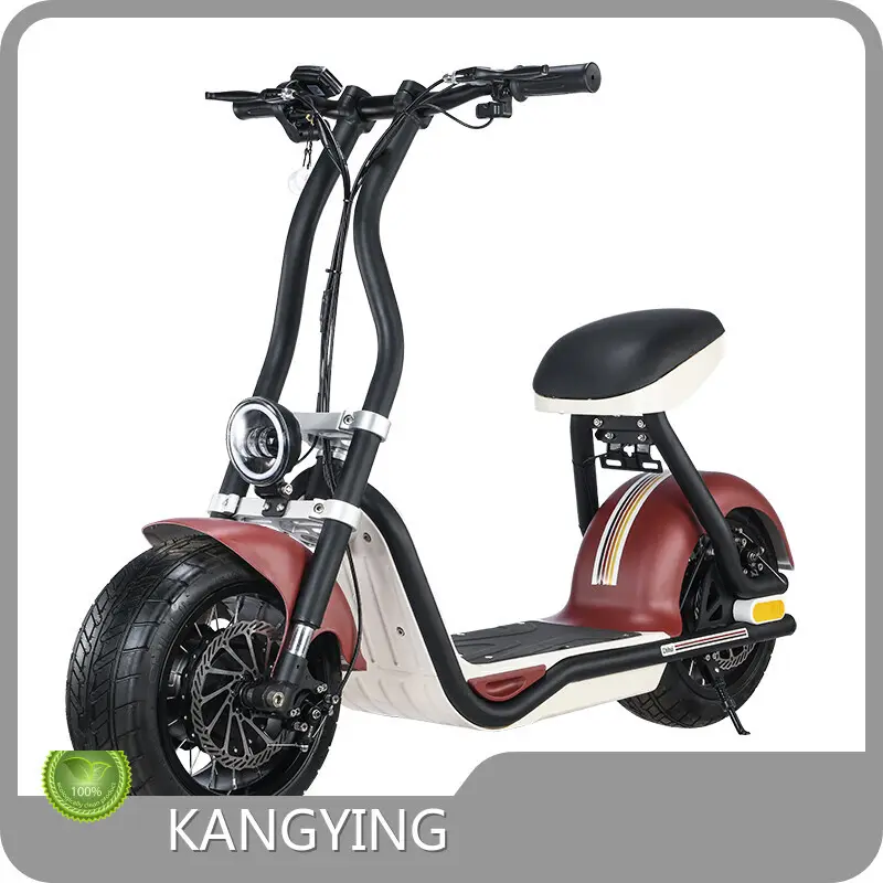 Electric Scooter Manufacturing Company for Sport Upply 1