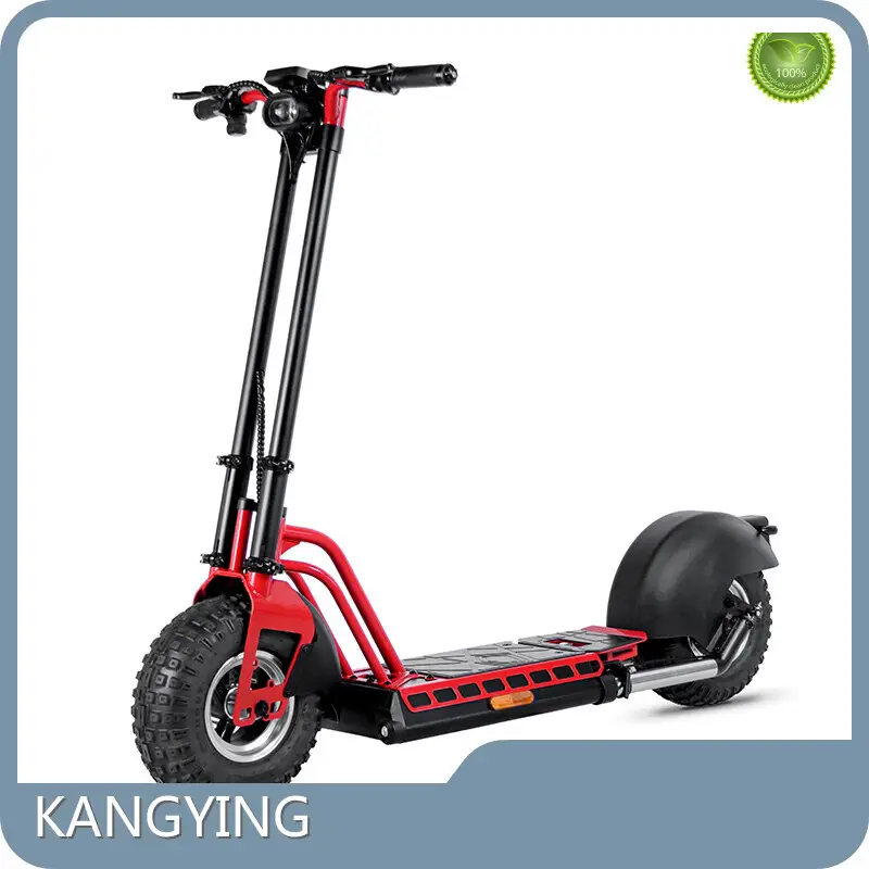 Best Affordable Electric Scooter - for Commute - Rockbaby 1