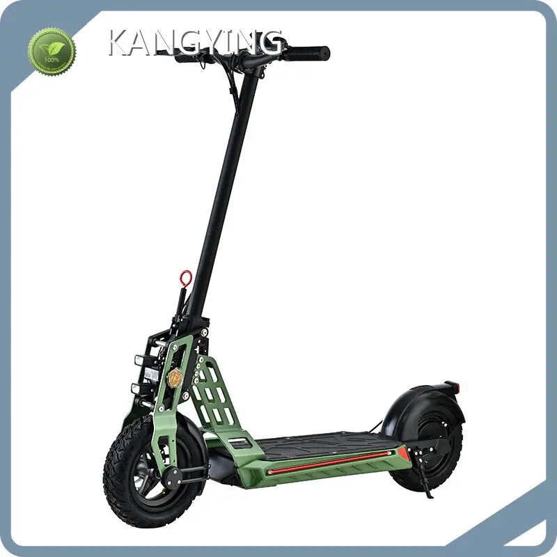 Waterproof Electric Scooter - for Commute - Rockbaby 1