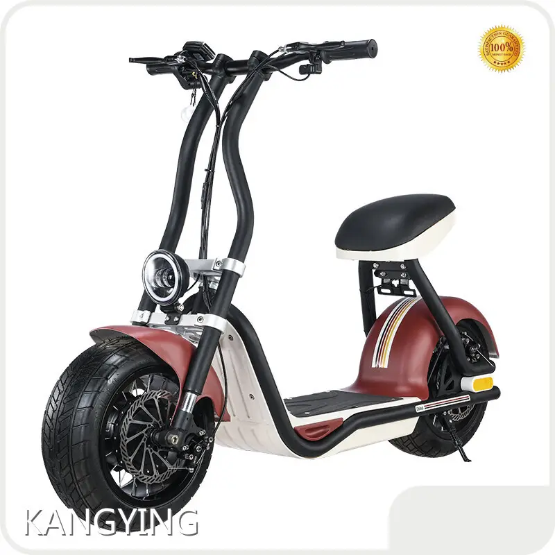 Top Electric Scooter Manufacturers - for Commute - Rockbaby 1