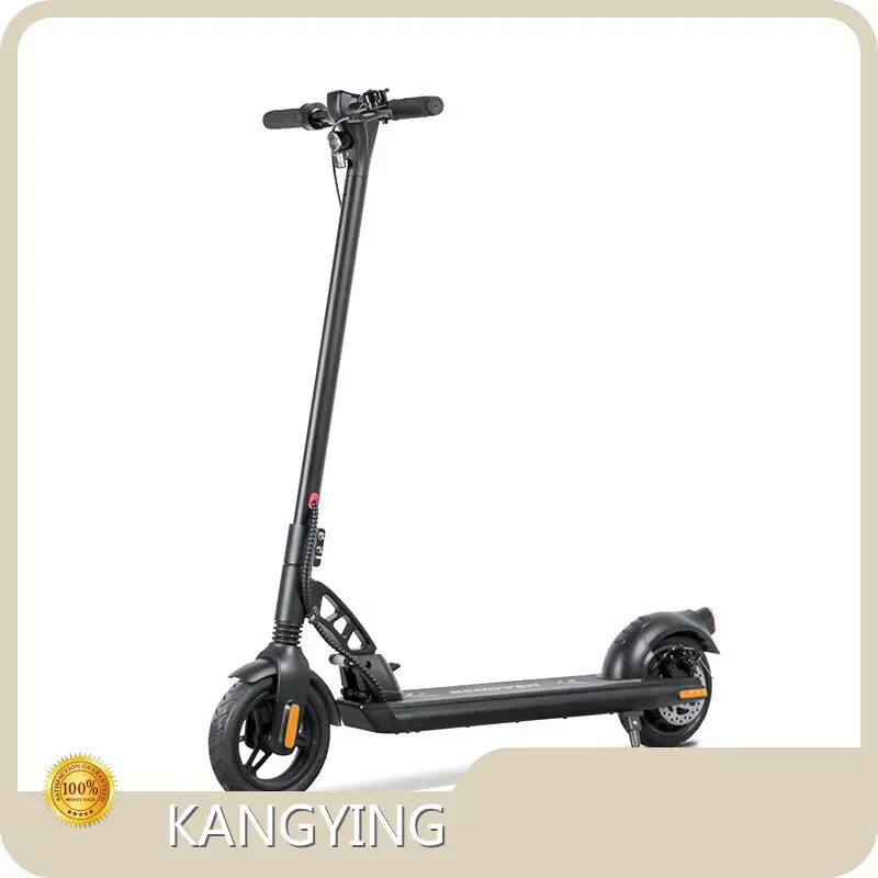 High-quality Electric Scooter Price Factory for Sport 1