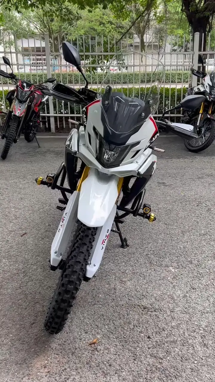 Dirt Bike 300cc 1 cilindro para adultos X300 1