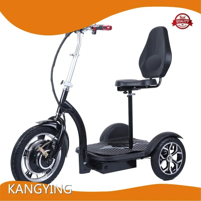 Wholesale Best Budget Electric Scooter Company for Commute 1