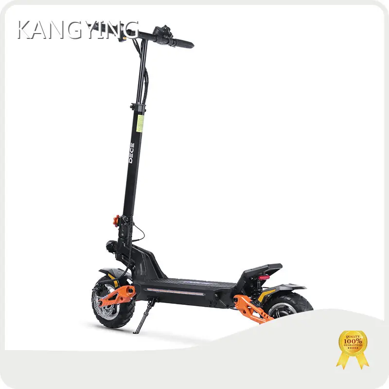 Chinese Electric Scooter Manufacturers - for Commute - Rockbaby 1