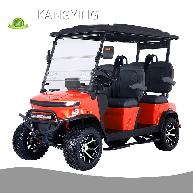 Electric Bike Supplier Factory 1