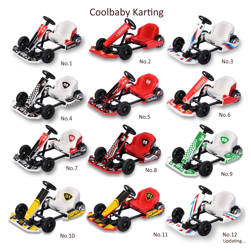 Electric Karting 36V 250W for Children DP-10 2