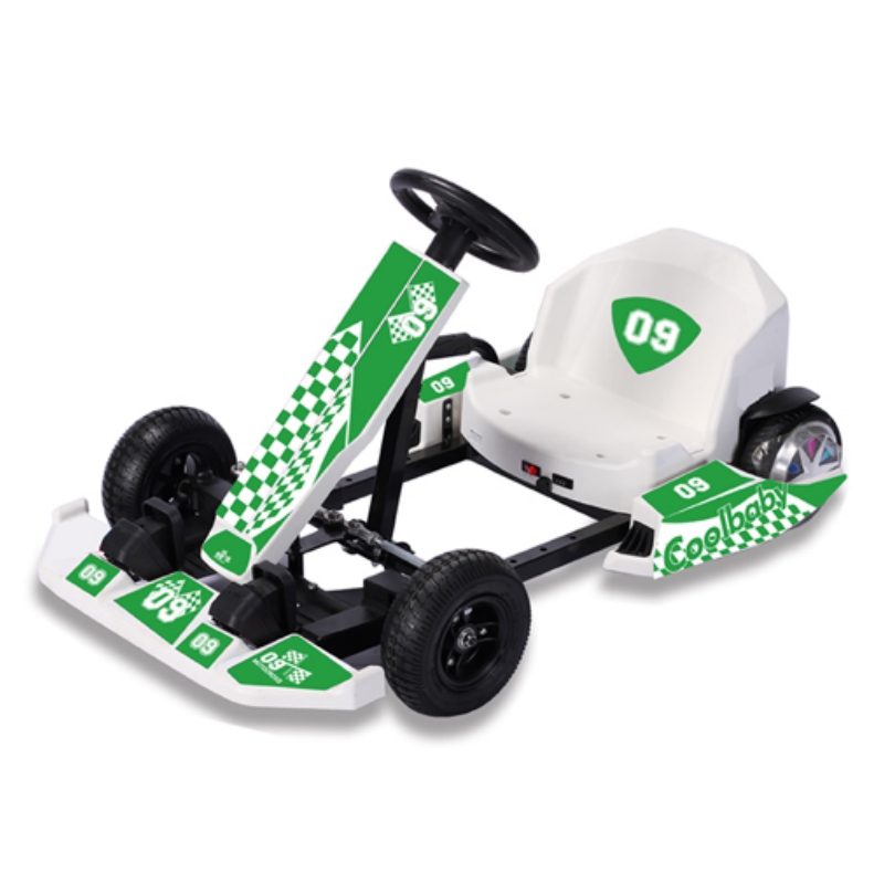 Electric Karting 36V 250W for Children DP-10 4