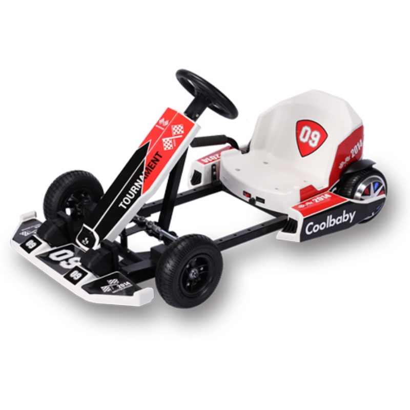 Electric Karting 36V 250W for Children DP-10 5