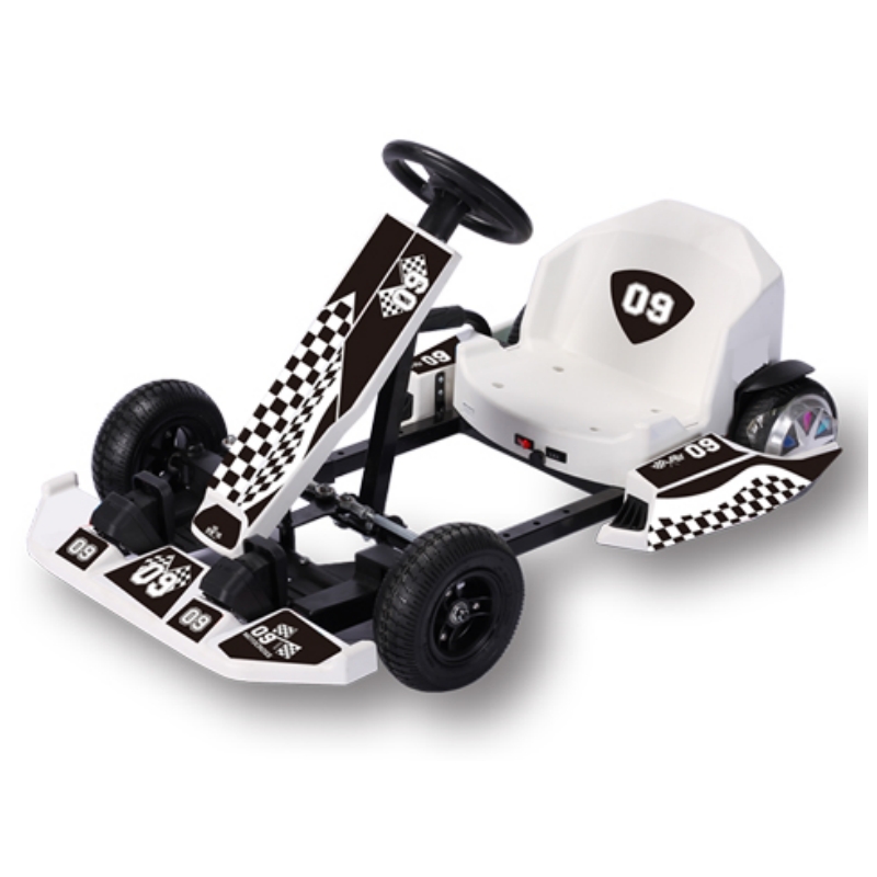 Electric Karting 36V 250W for Children DP-10 6