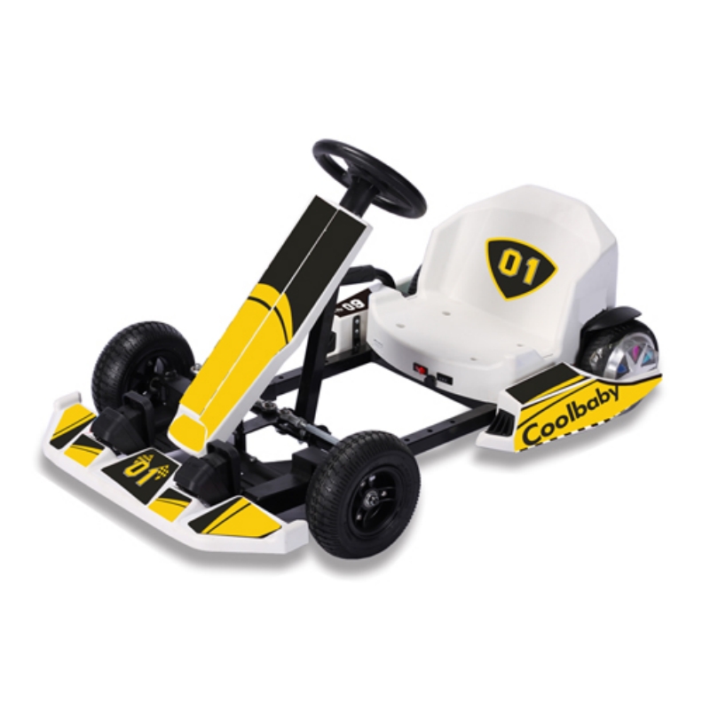 Electric Karting 36V 250W for Children DP-10 7