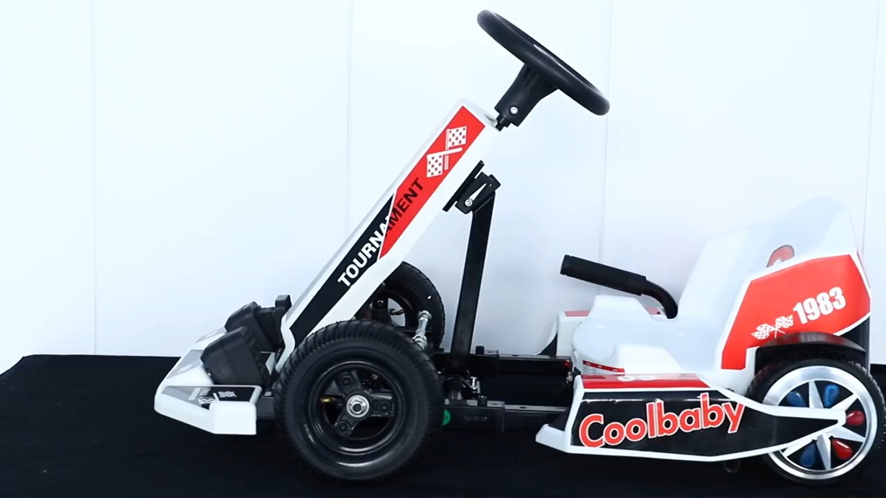 Electric Karting 36V 250W for Children DP-10 1