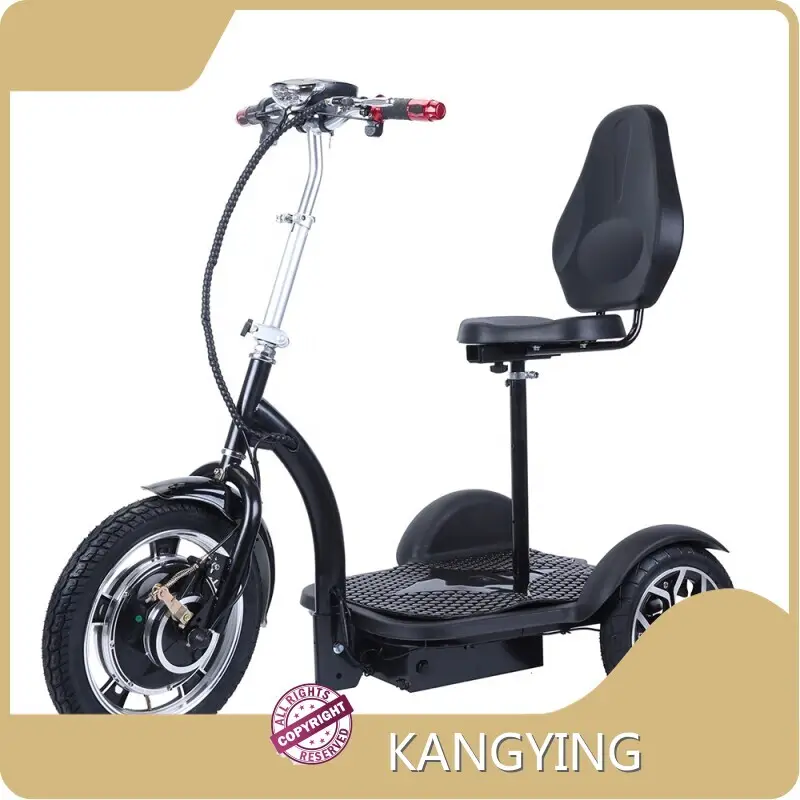 Best Affordable Electric Scooter for Commute Factory 1