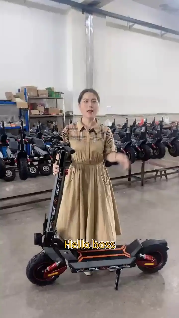MT51 electric scooter 800W 48V 1.52AH 1