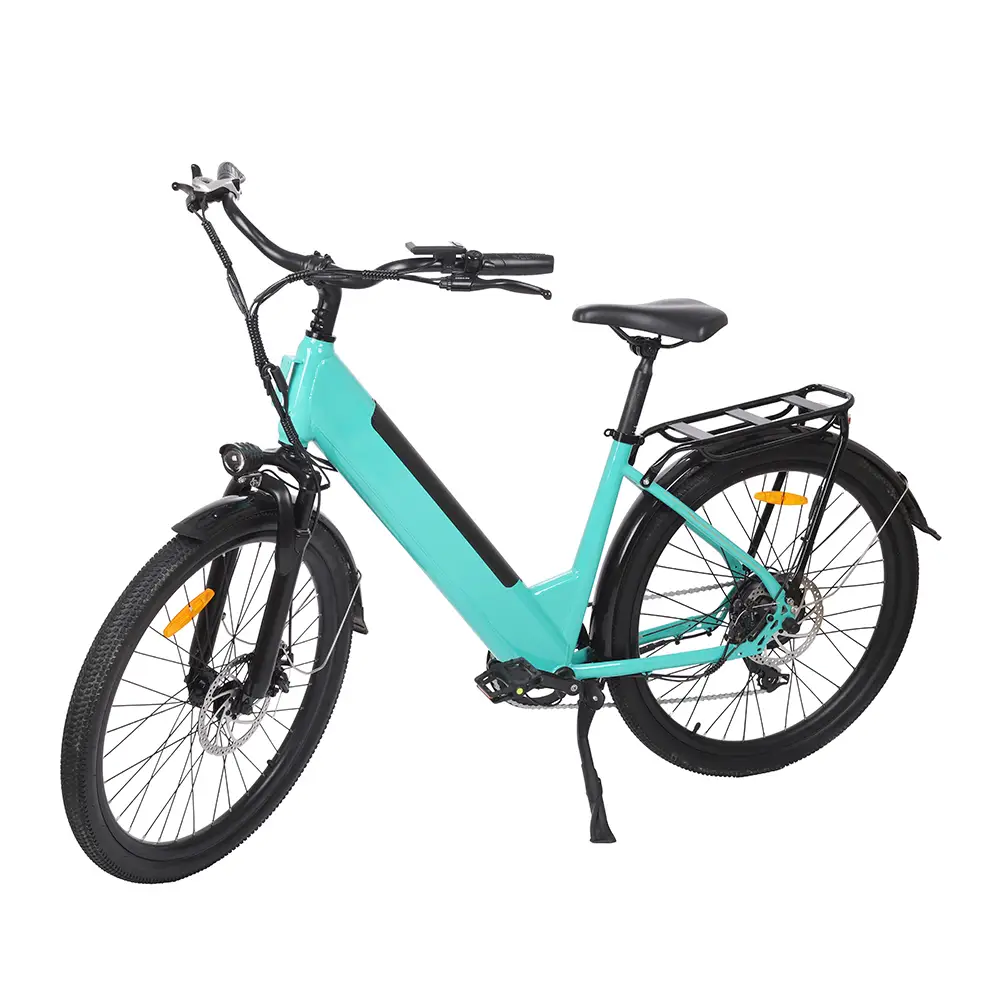 DMS-29 electric bike 1