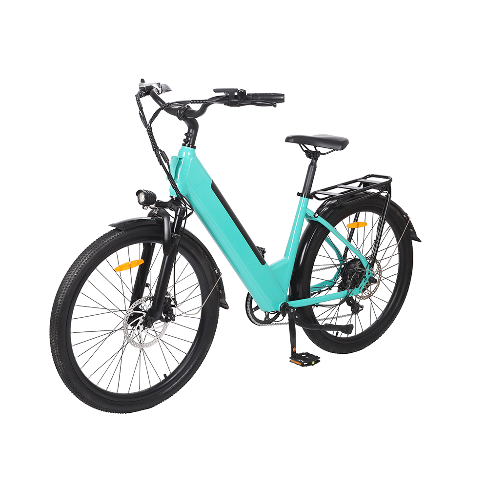 DMS-29 electric bike 3