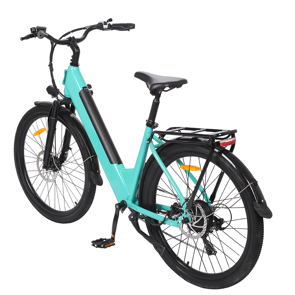 DMS-29 electric bike 4