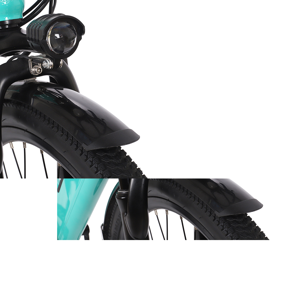 DMS-29 electric bike 10