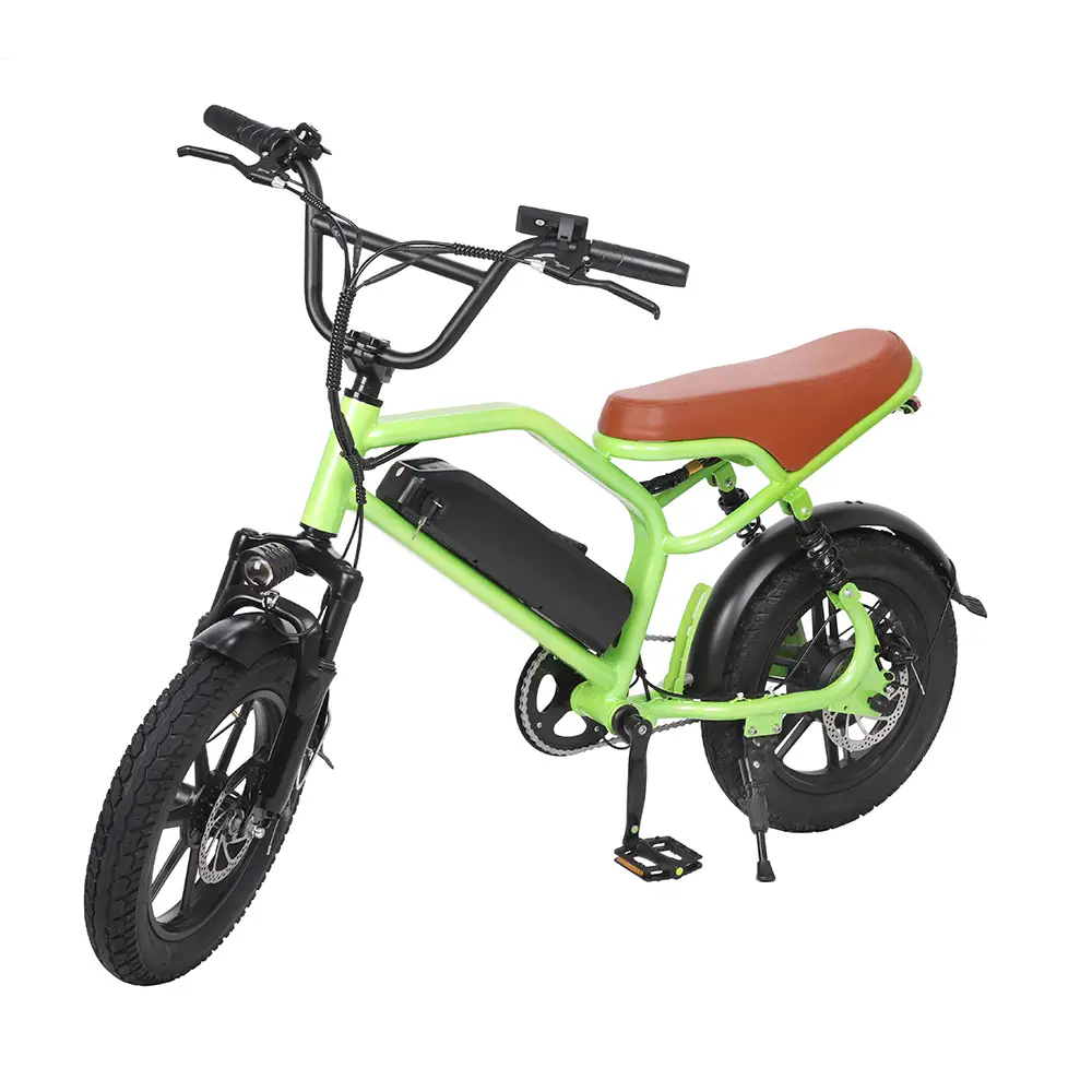 DMS-23 electirc bike 350w 48v 10.4ah 1