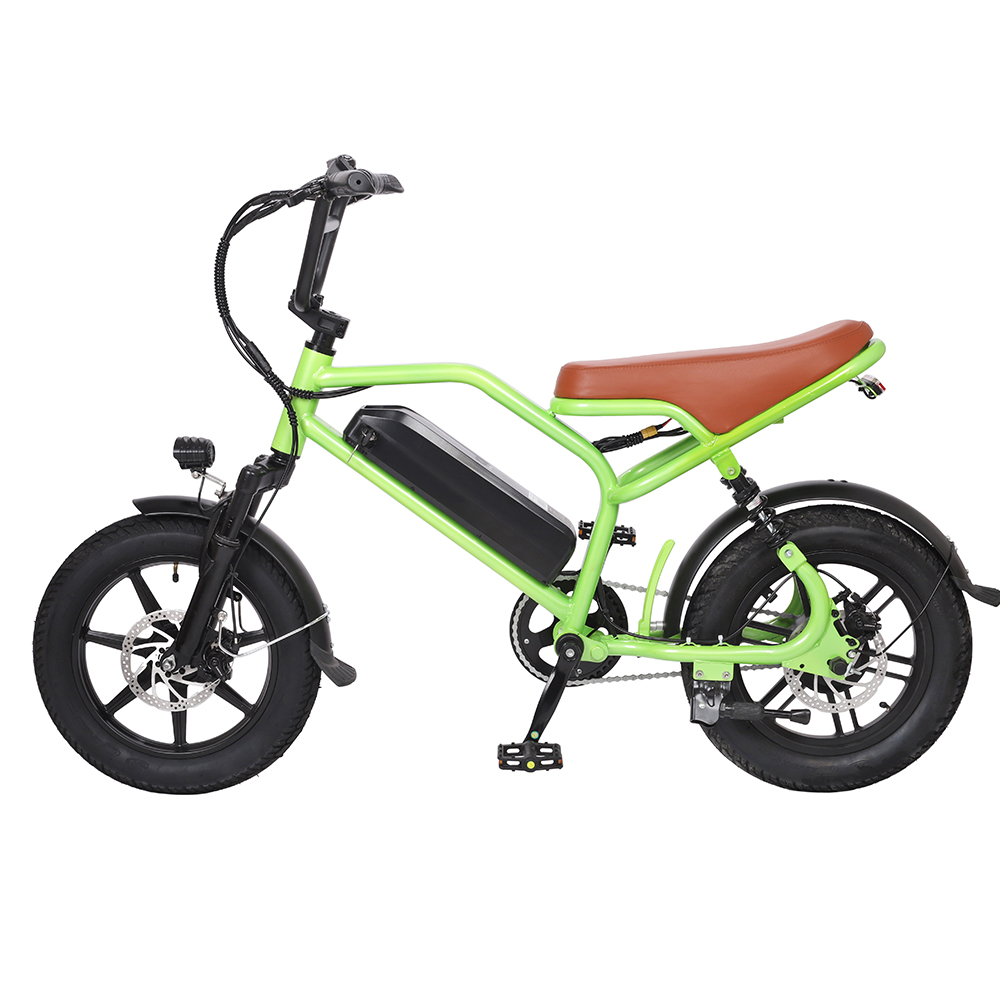 DMS-23 electirc bike 350w 48v 10.4ah 2