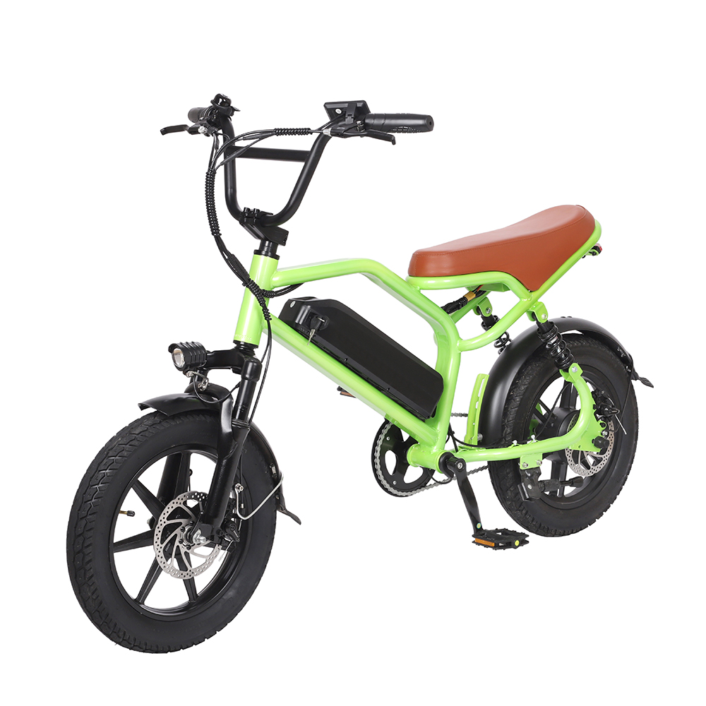 DMS-23 electirc bike 350w 48v 10.4ah 3