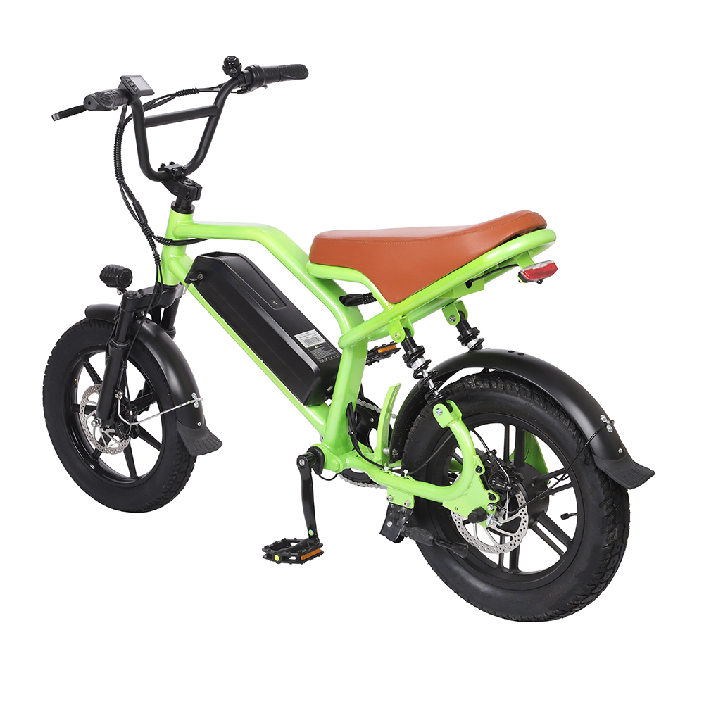 DMS-23 electirc bike 350w 48v 10.4ah 4