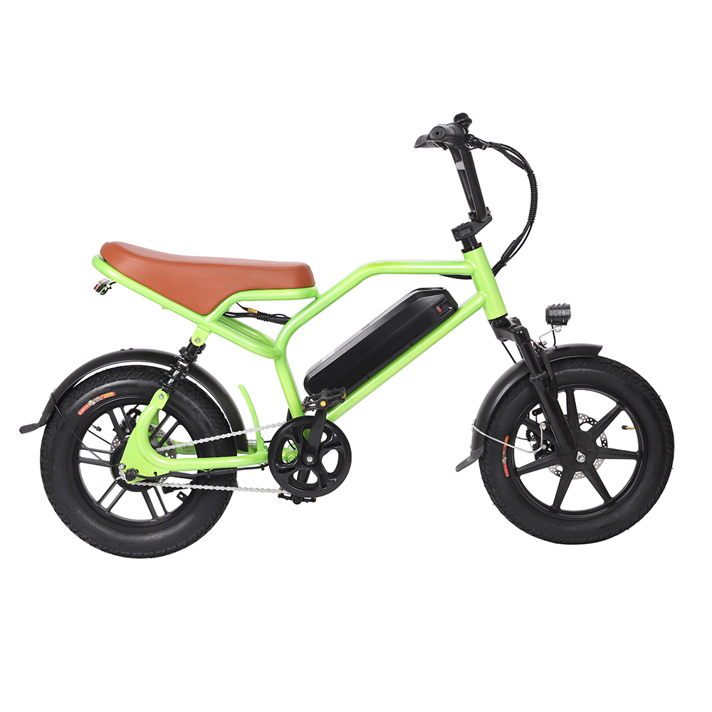 DMS-23 electirc bike 350w 48v 10.4ah 9